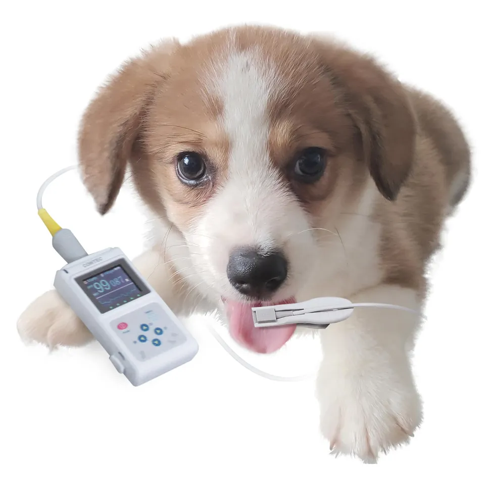 gima-oxy-50-pulsossimetro-veterinario-portatile-con-software-e-sensore-per-cane- image 1