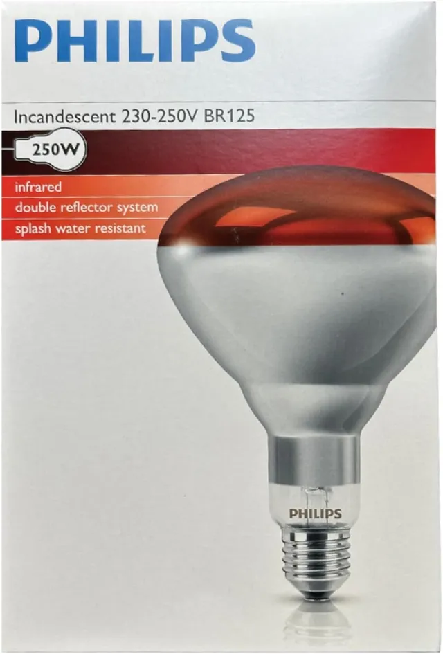 gima-28654-lampadina-di-ricambio-250-w-per-apparecchiature-mediche image 1