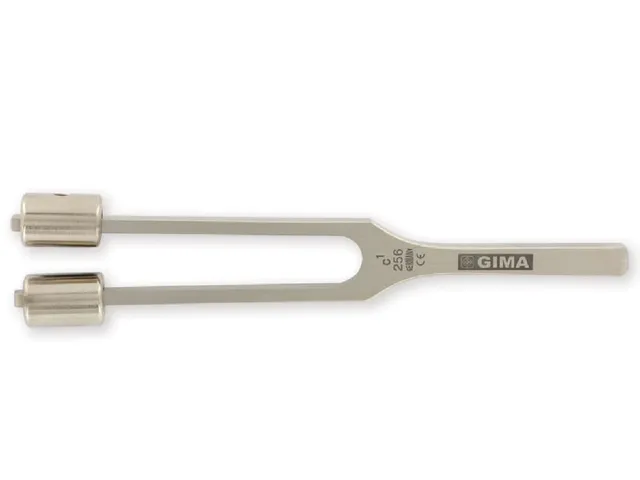 gima-31231-diapason-in-lega-256-hz-con-pesi-otorinolaringoiatrico-1-pezzo image 1