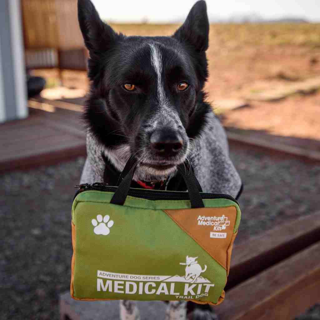 adventure-medical-kits-trail-dog-2-pack-kit-primo-soccorso-per-cani-con-manuale- image 8