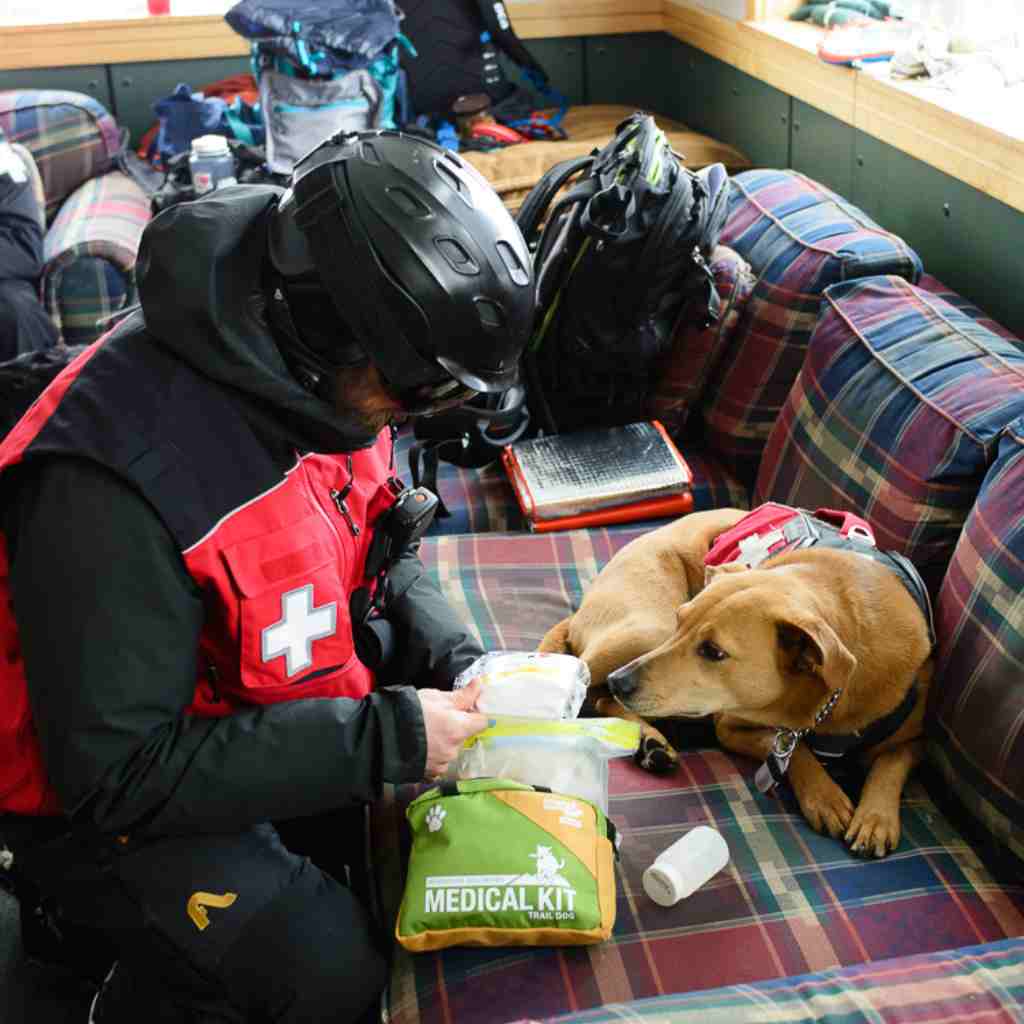 adventure-medical-kits-trail-dog-2-pack-kit-primo-soccorso-per-cani-con-manuale- image 6