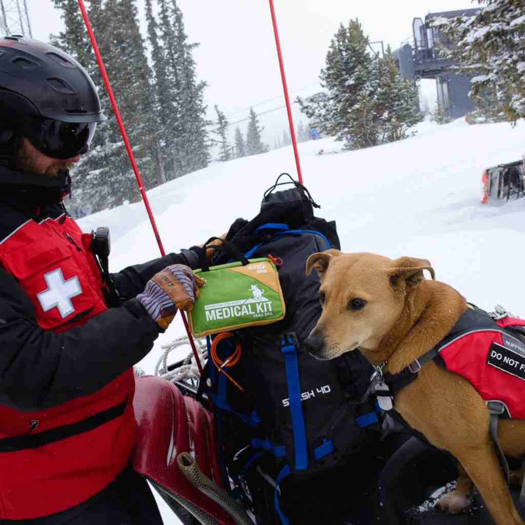 adventure-medical-kits-trail-dog-2-pack-kit-primo-soccorso-per-cani-con-manuale- image 7