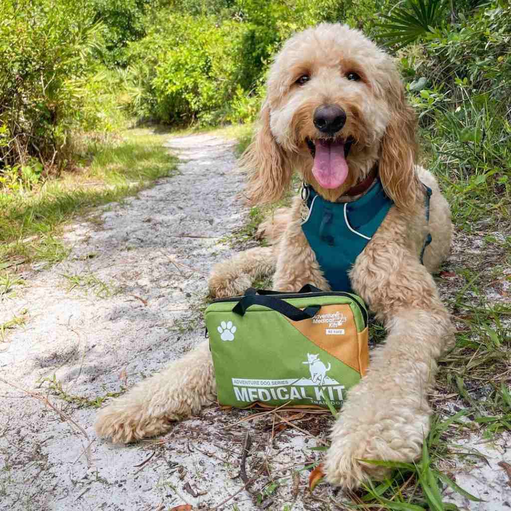 adventure-medical-kits-trail-dog-2-pack-kit-primo-soccorso-per-cani-con-manuale- image 4