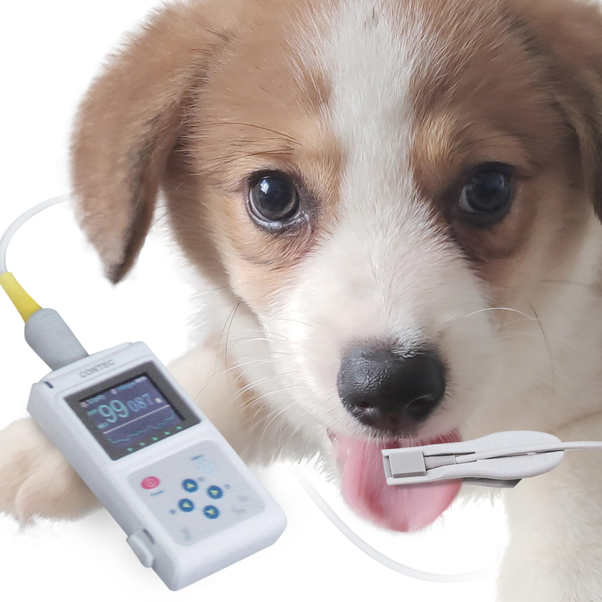 gima-oxy-50-pulsossimetro-veterinario-portatile-con-software-e-sensore-per-cane- image 7